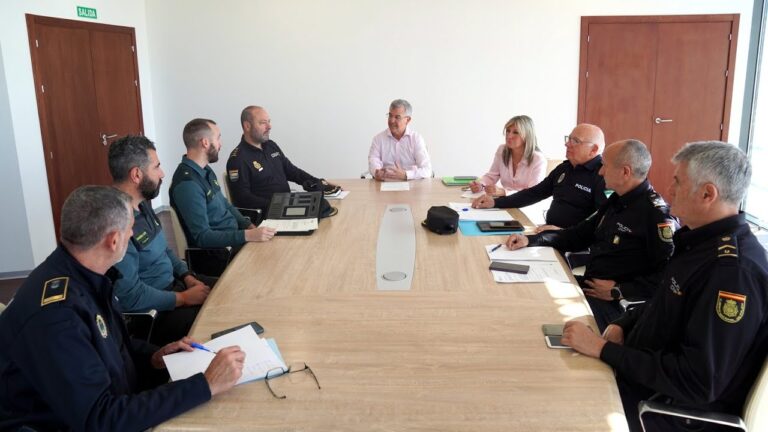Seguridad en Estepona: An&aacute;lisis y Perspectivas