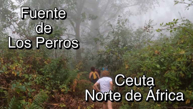 Senderismo con Perros en Ceuta: Mejores Rutas y Consejos