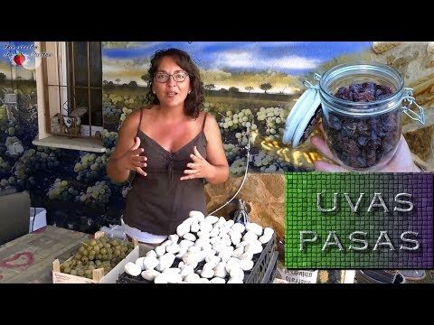 Gu&iacute;a de Compra de Productos de Salud Natural en Manilva