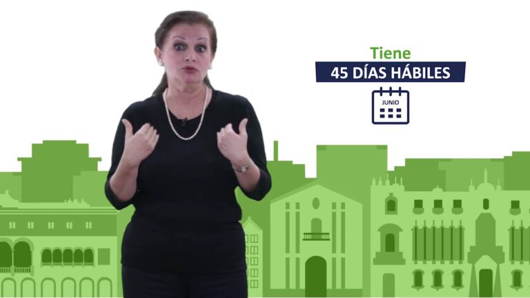 Gu&iacute;a para Solicitar la Devoluci&oacute;n de Multas en Manilva
