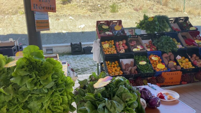 Gu&iacute;a para Comprar Frutas y Verduras Frescas en Fuengirola