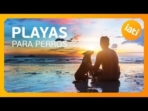 Playas para Perros Cerca de Fuengirola